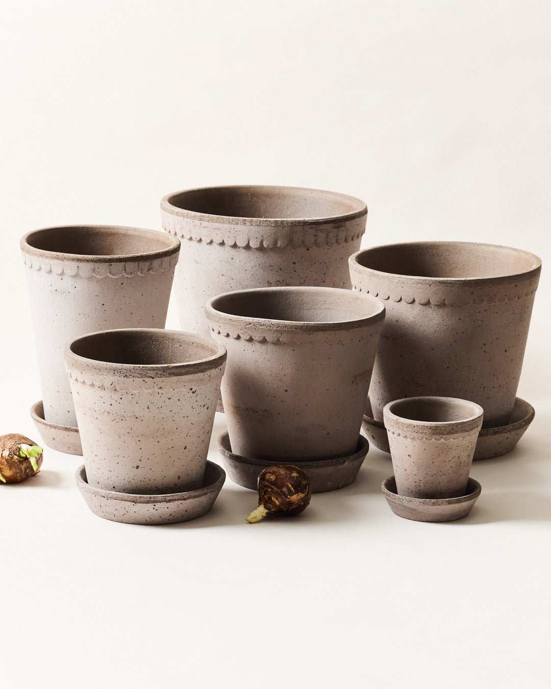 Scalloped Terracotta Garden Pot and Saucer - Grey Tall