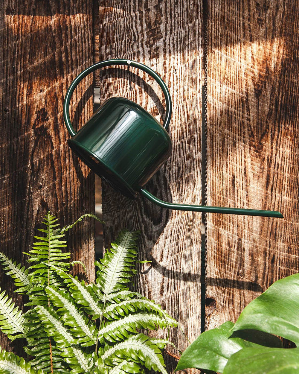 Loopy Watering Can