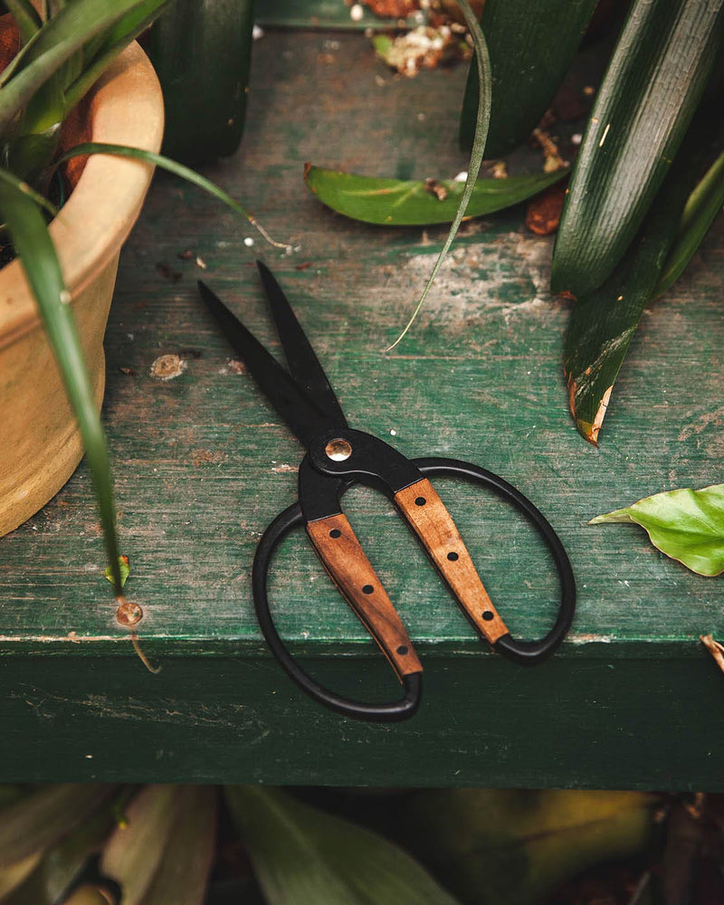walnut garden scissors Farmhouse Pottery