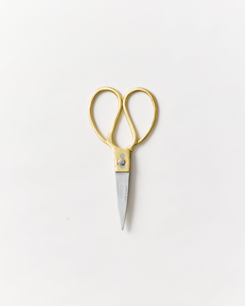 Brass & Steel Utility Shears