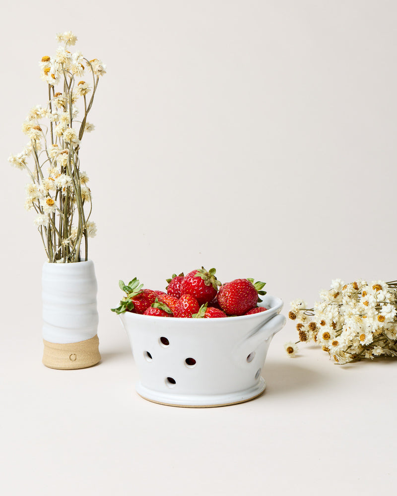 Blooms & Berries Set