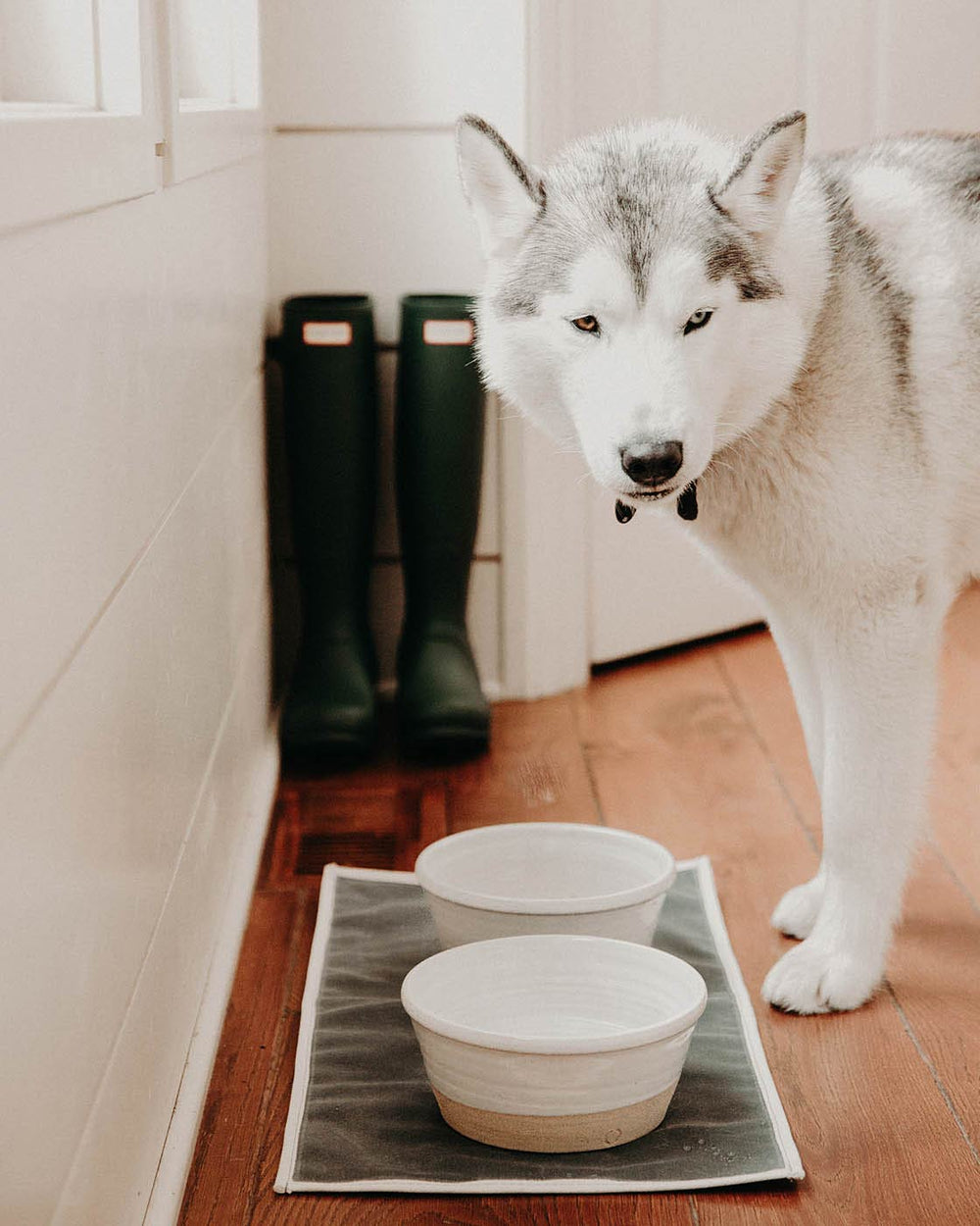 SWEEJAR Gradient Dog Bowl, Ceramic Dog Food Dish for Large Dogs and La –  Sweejar Home