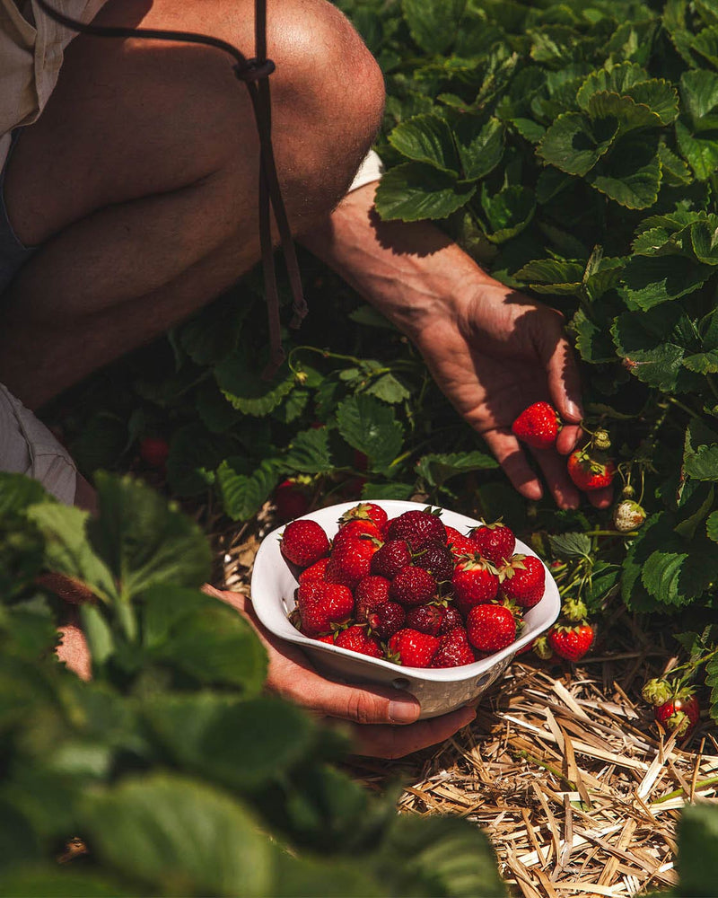All Farmhouse Pottery