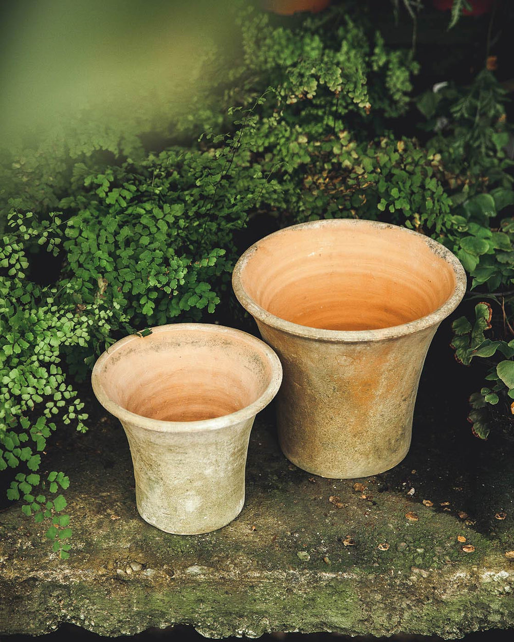 Aged Terracotta Garden Pots - Flared