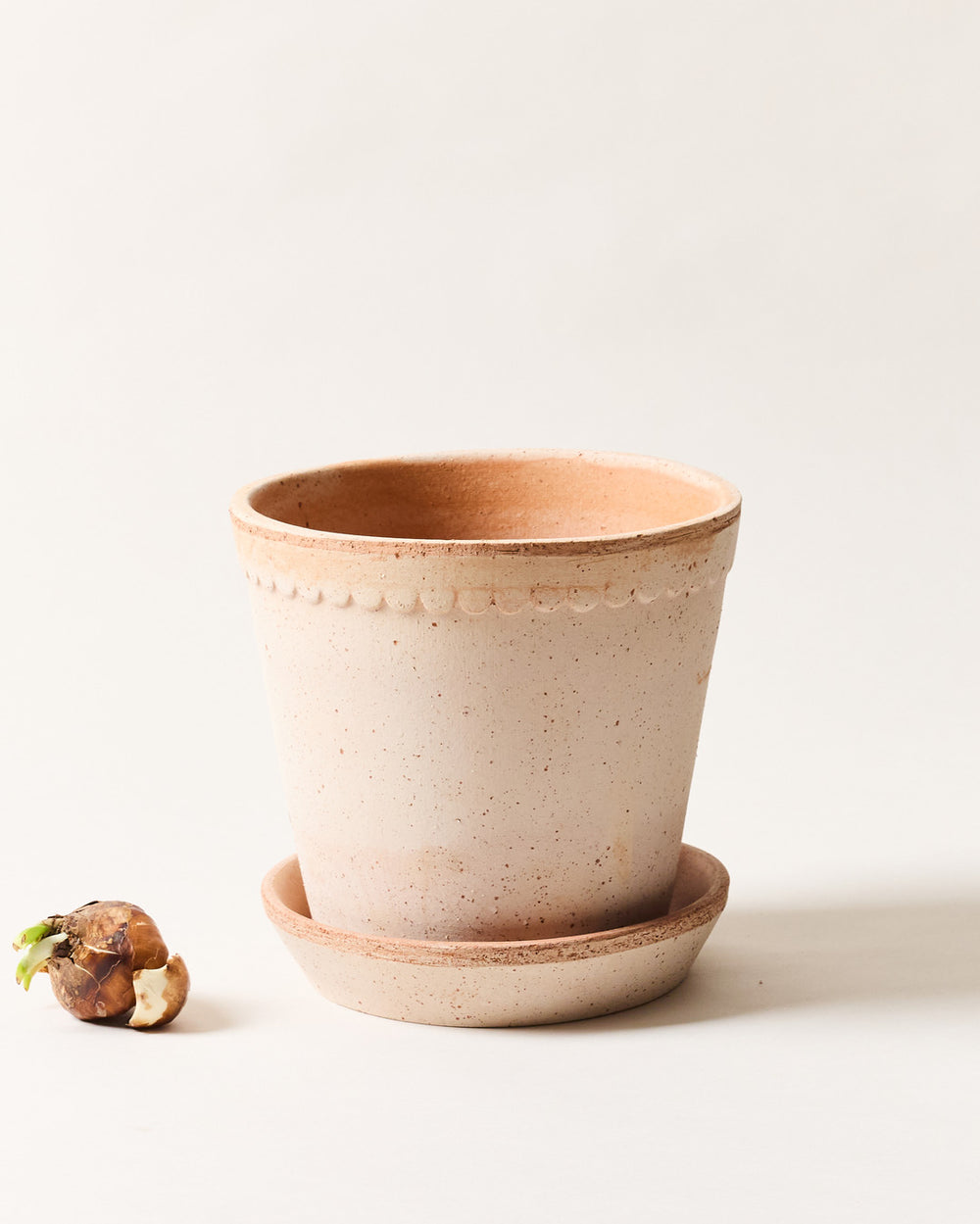 pottery plant pot Scalloped Terracotta Garden Pot & Saucer