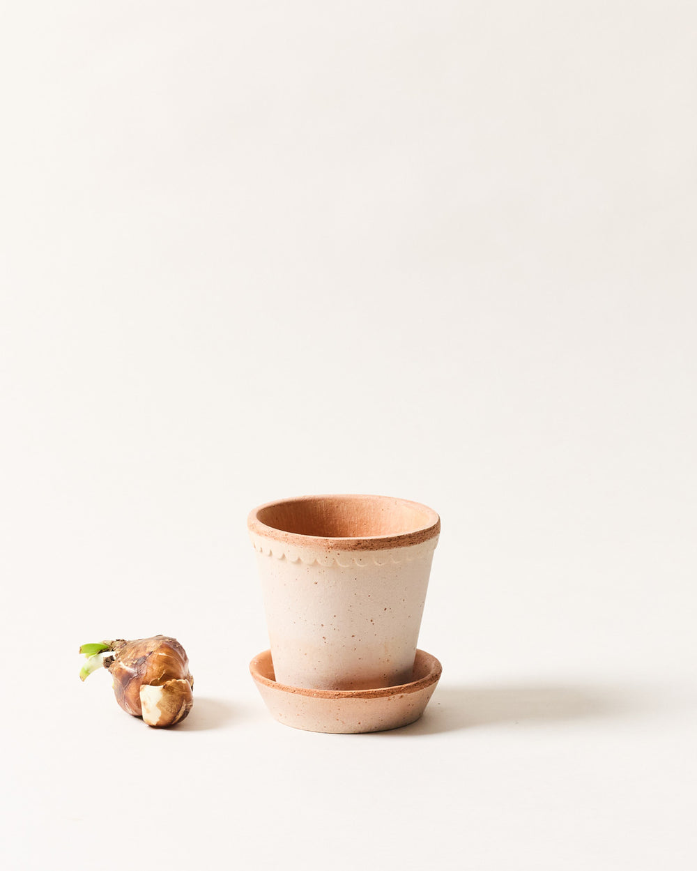 clay plant pots small Scalloped Terracotta Garden Pot & Saucer