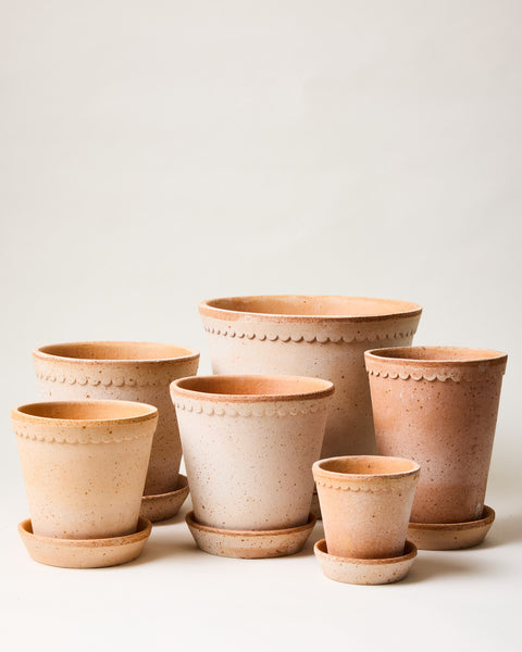 XL Scalloped Terracotta Garden Pot and Saucer