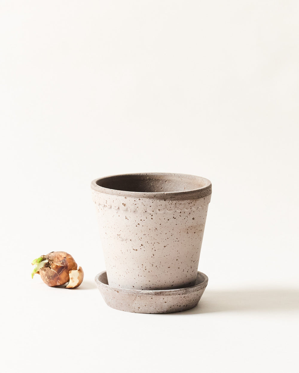 Scalloped Terracotta Garden Pot and Saucer