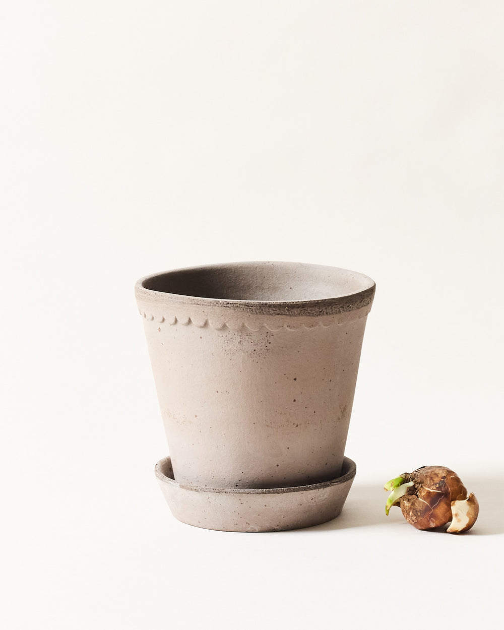 Scalloped Terracotta Garden Pot and Saucer