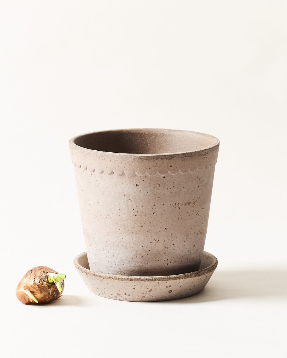 plant pot with saucer hay Scalloped Terracotta Garden Pot and Saucer