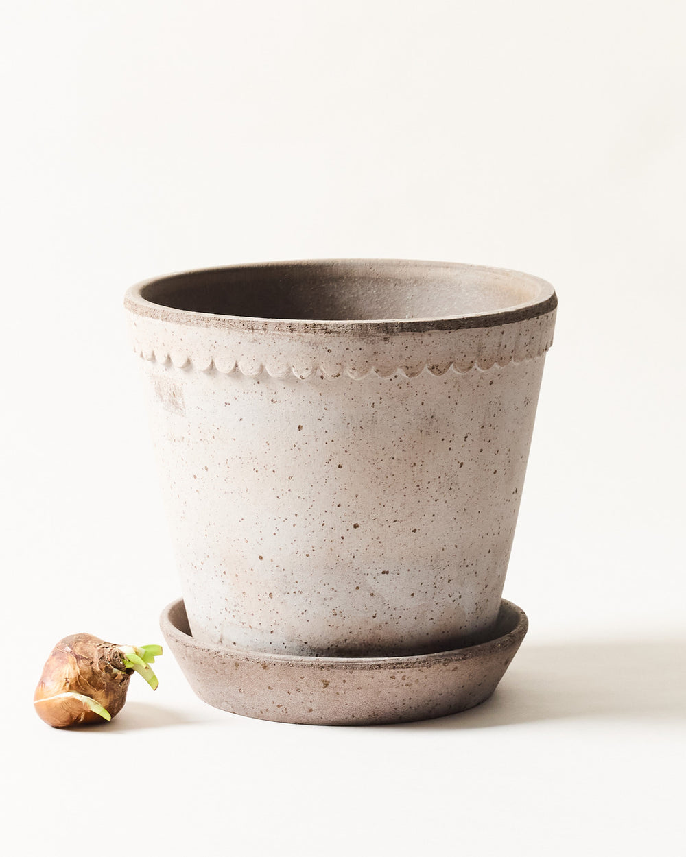 large ceramic plant pot with saucer Scalloped Terracotta Garden Pot and Saucer
