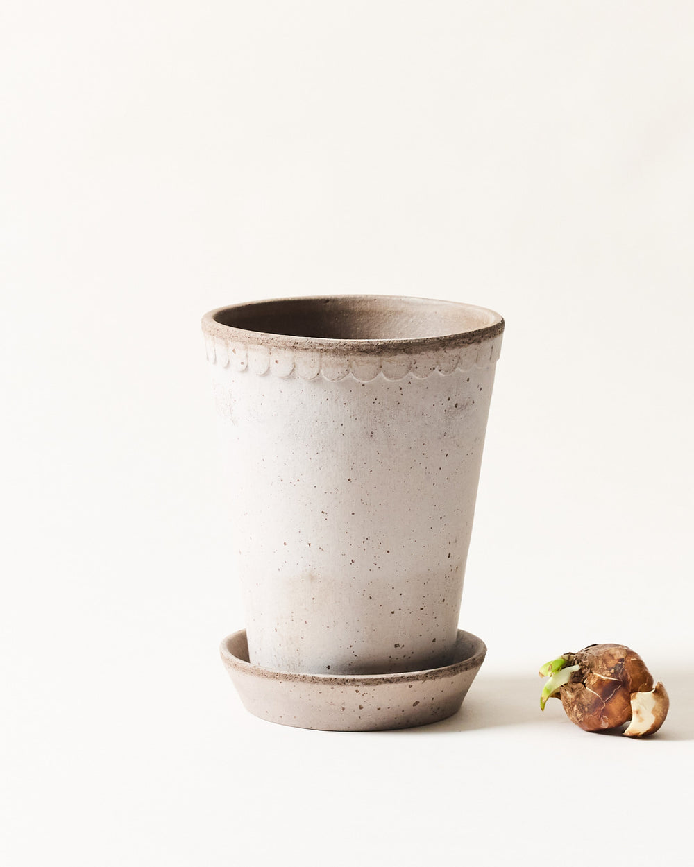 grey ceramic plant pot Scalloped Terracotta Garden Pot and Saucer