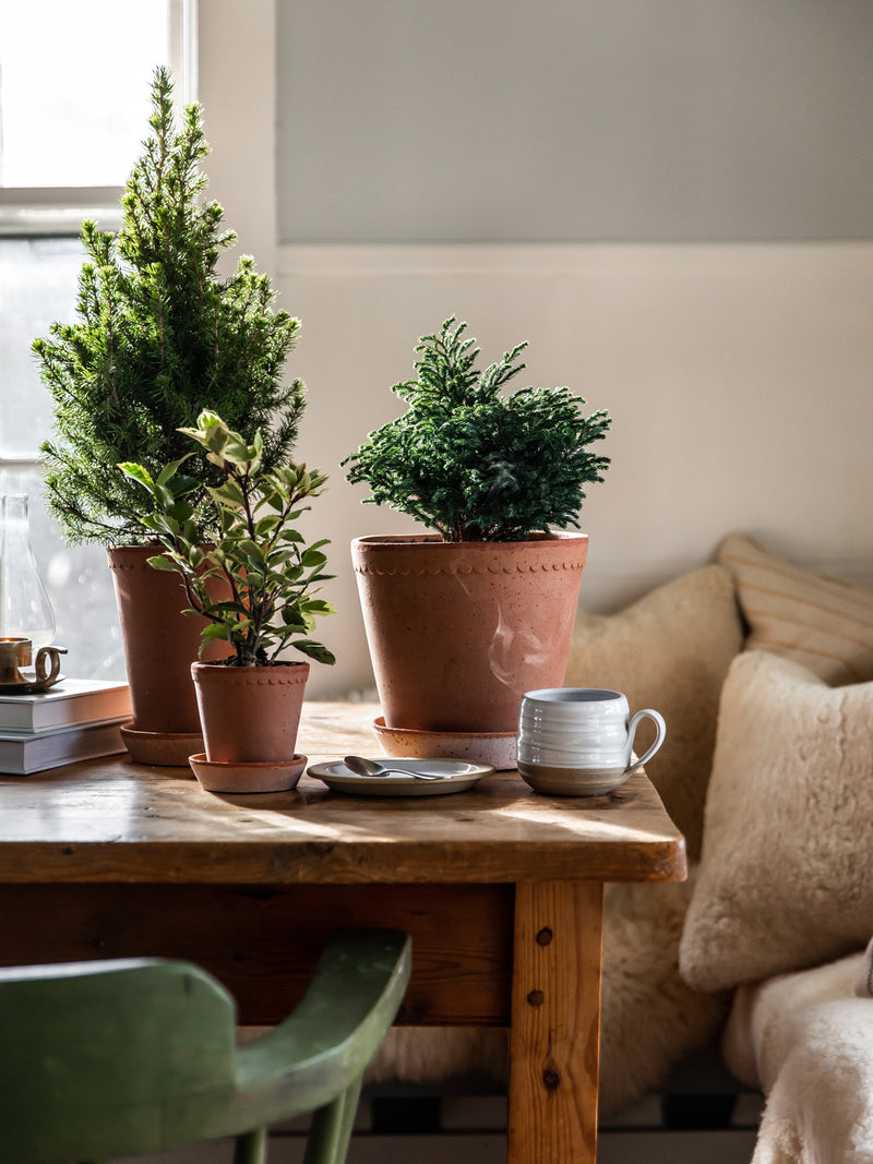 Scalloped Terracotta Garden Pot and Saucer