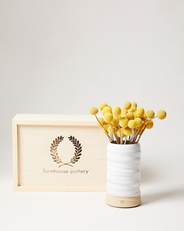Trunk Vase and Billy Buttons Gift Set