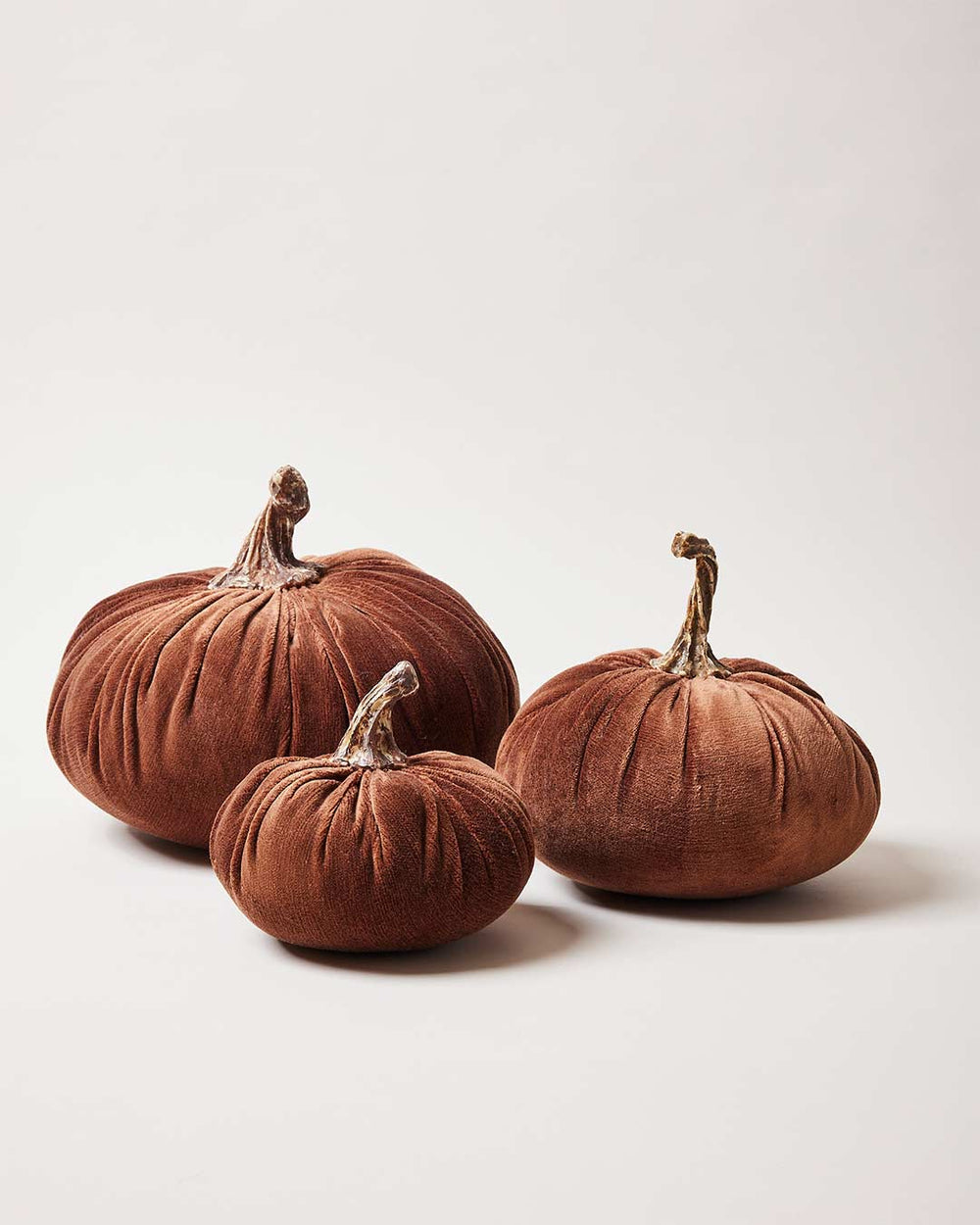 Harvest Pumpkins - Walnut
