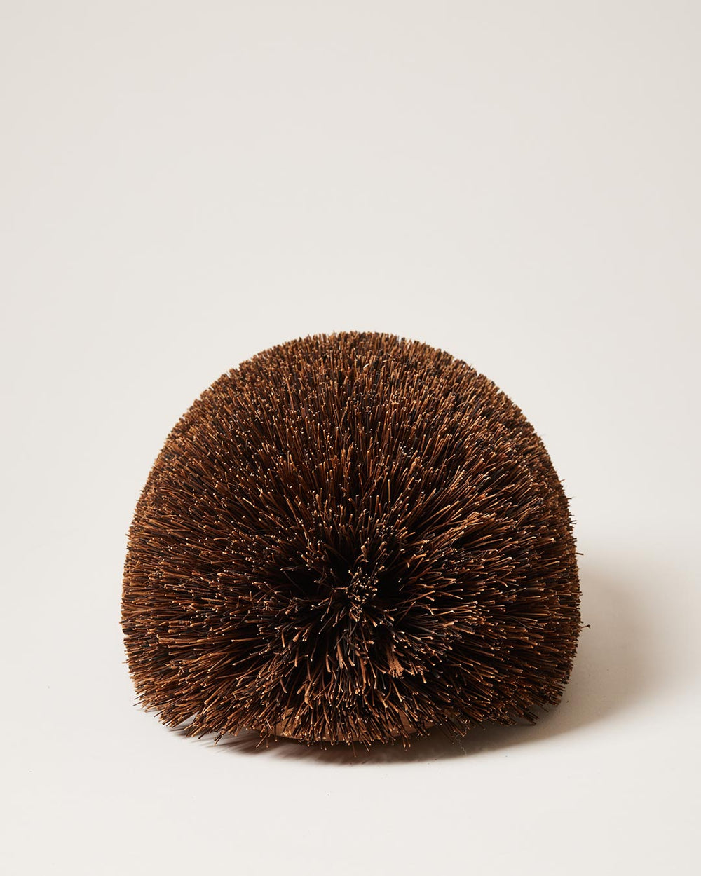 Hedgehog Shoe Brush