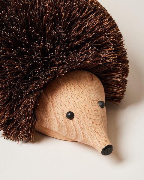 Hedgehog Shoe Brush