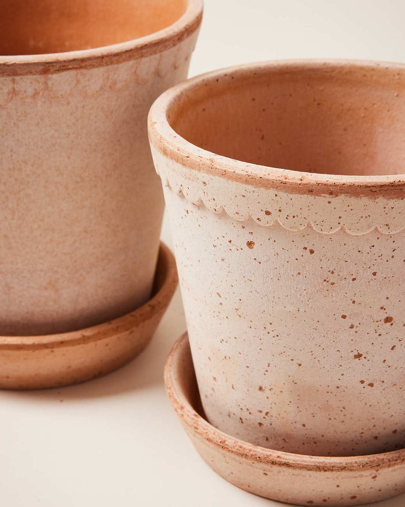 Scalloped Terracotta Garden Pot and Saucer